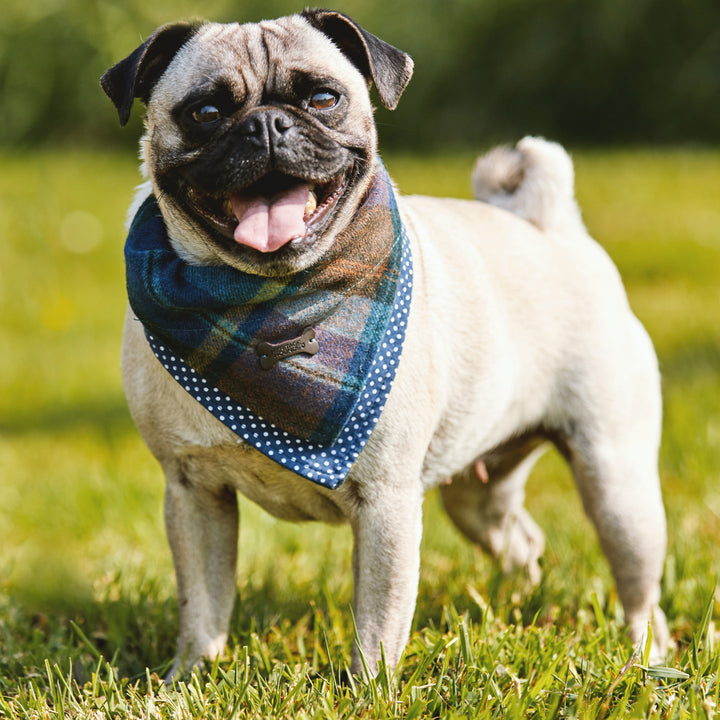 Heritage Tartan Dog Bandanas