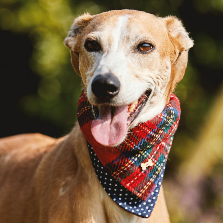 Heritage Tartan Dog Bandanas