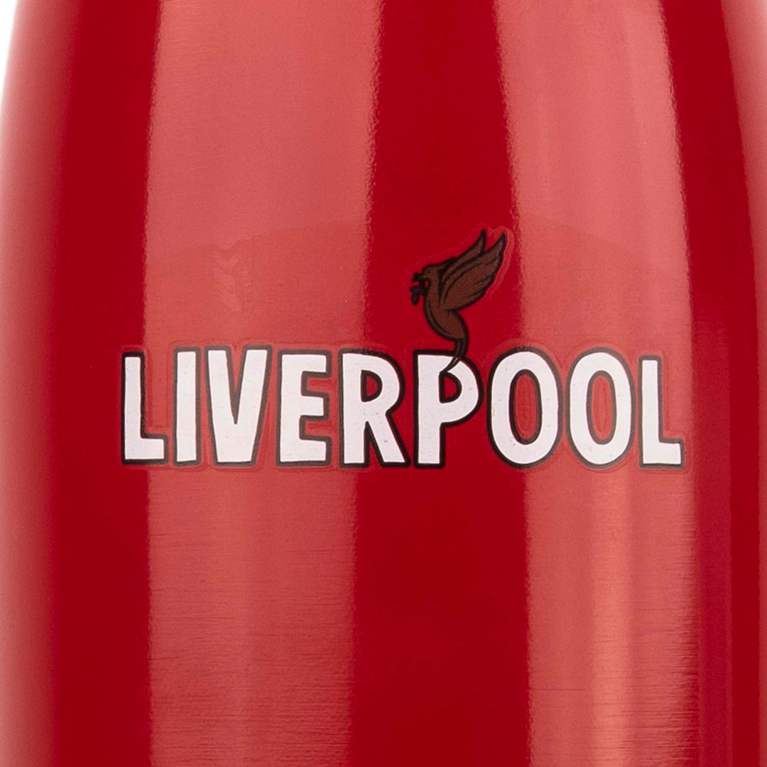 Liverpool 500ml Insulated Flask