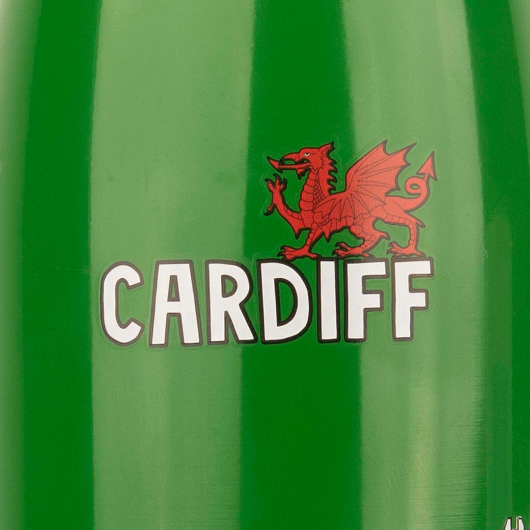 Cardiff 500ml Insulated Water Bottle