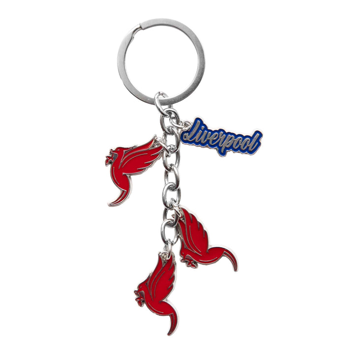 Liver Bird Multi Keyring