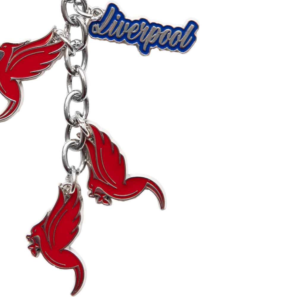 Liver Bird Multi Keyring