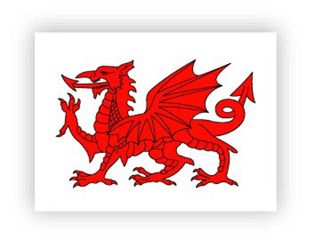 Welsh Dragon Pin Badge