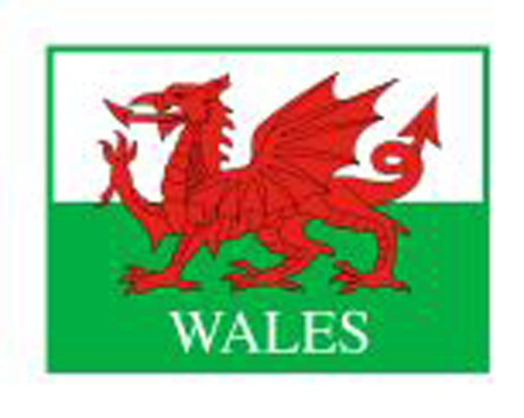 Wales Dragon Flag Pin Badge