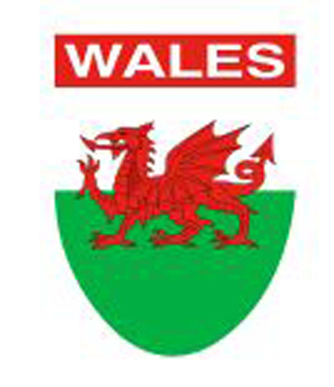 Wales Dragon Shield Pin Badge