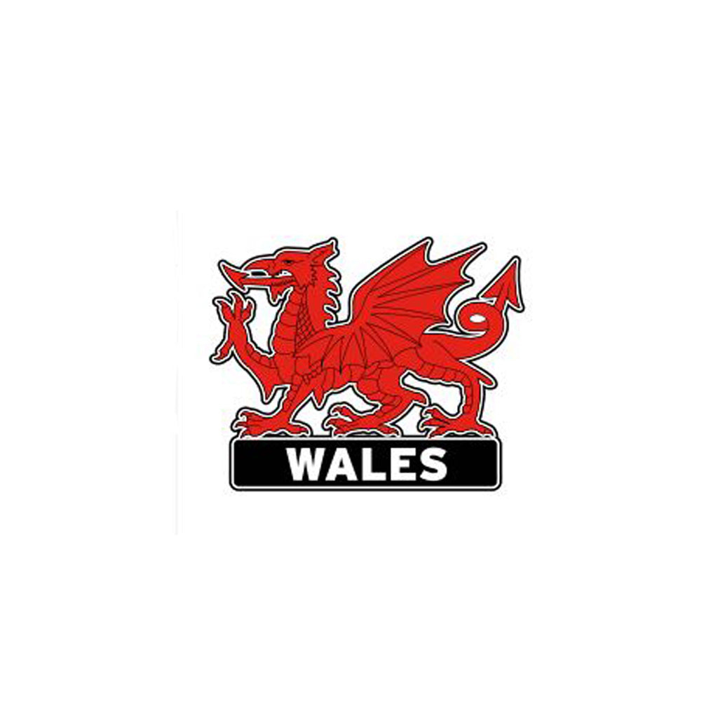 Dragon Magnet - Wales