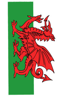 Dragon Large Oblong Sticker